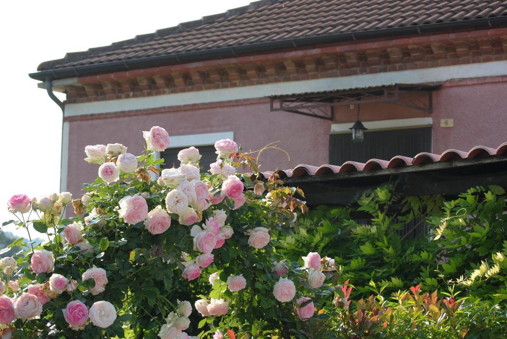 B&B La Ca Cita Cortazzone Экстерьер фото